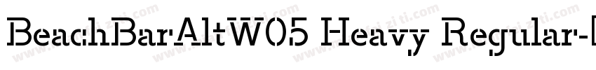 BeachBarAltW05 Heavy Regular字体转换